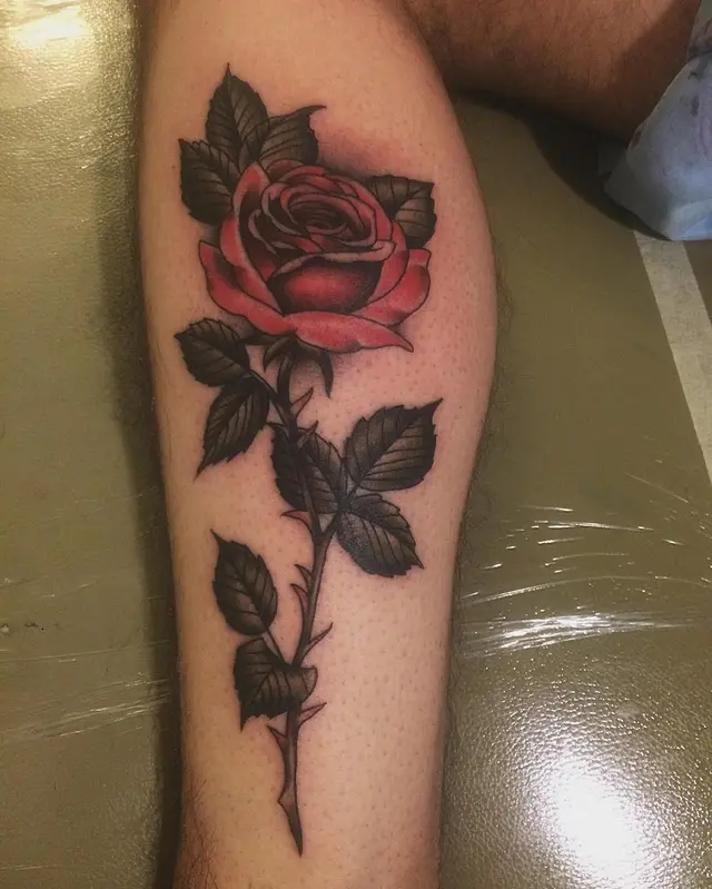 Rosa roja de composición clásica
