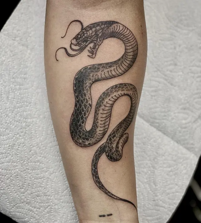 Serpiente en blackwork