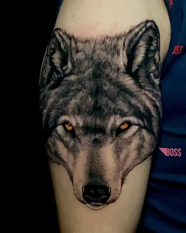 Lobo