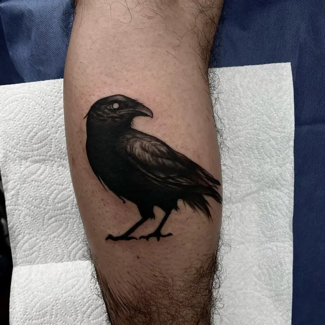 Cuervo